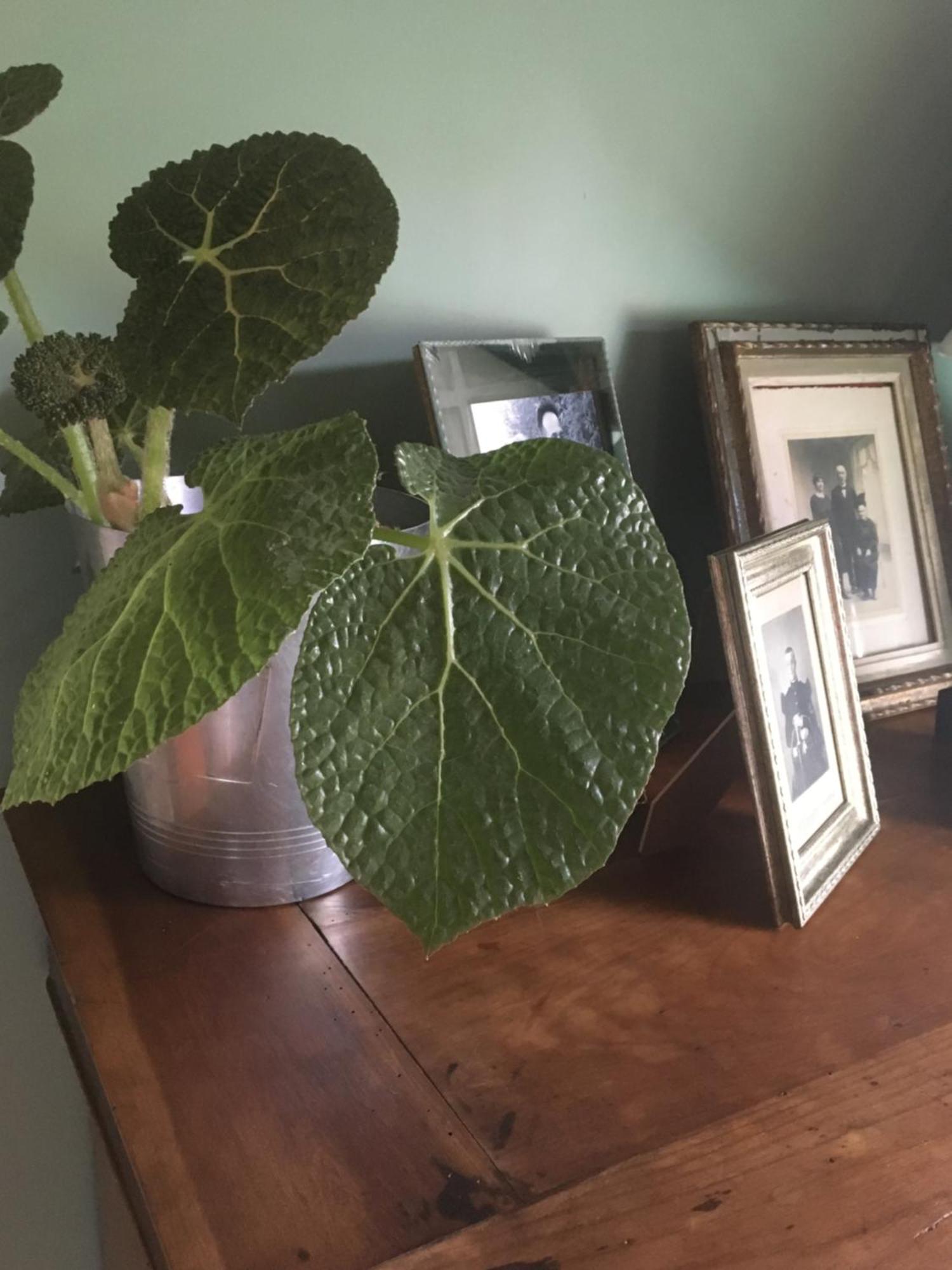 Chambre Cosy Bonnieres Bagian luar foto